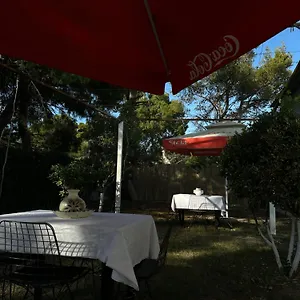 https://sunny-rentals.albaniahotels.org